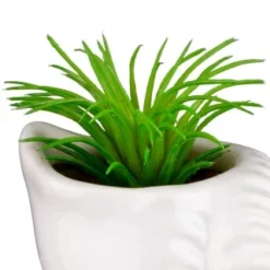 B&M Scandi Shore Small Shell Succulent -Home Furnishings Store 380110 small shell succulent 5