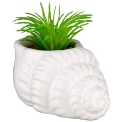 B&M Scandi Shore Small Shell Succulent -Home Furnishings Store 380110 small shell succulent 6