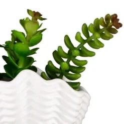B&M Scandi Shore Small Shell Succulent -Home Furnishings Store 380110 small shell succulent 8